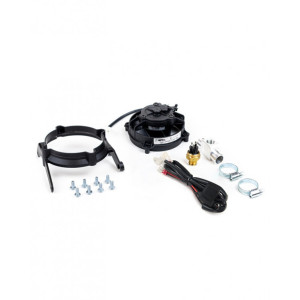 SPAL | MLM Motors