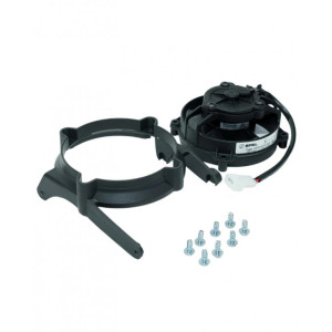 SPAL | MLM Motors