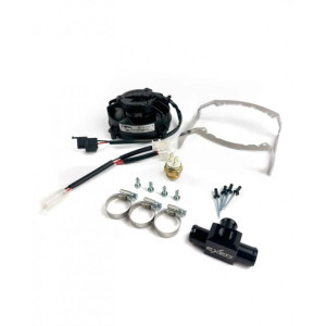 SPAL | MLM Motors