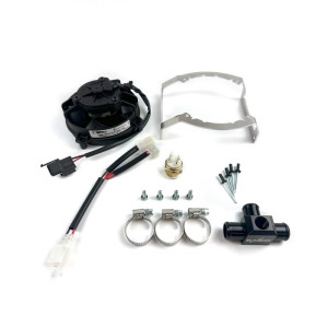 SPAL | MLM Motors