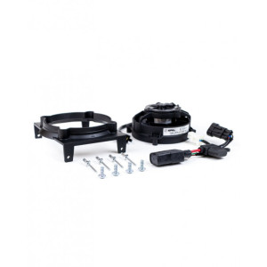SPAL | MLM Motors