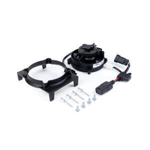 SPAL | MLM Motors