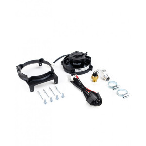 SPAL | MLM Motors
