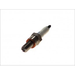 Bujii | MLM Motors