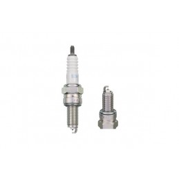Bujii | MLM Motors