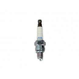 NGK - bujie Iridium DCPR8EIX - NGK - MLM Motors