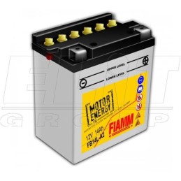 FIAMM | MLM Motors
