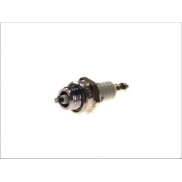 NGK - bujie Iridium DCPR8EIX - NGK - MLM Motors