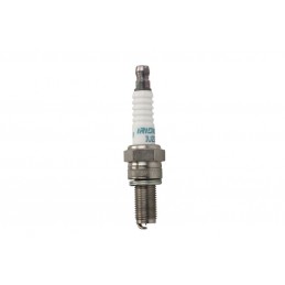 DENSO | MLM Motors