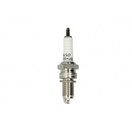 NGK - bujie Iridium DCPR8EIX - NGK - MLM Motors