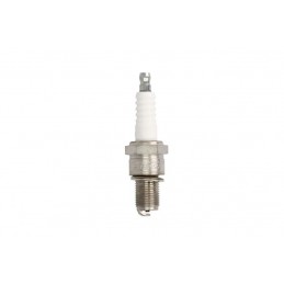 NGK - bujie Iridium DCPR8EIX - NGK - MLM Motors